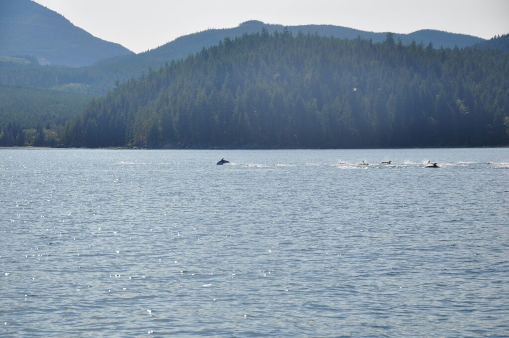 Alpine Gas Ltd photo 4