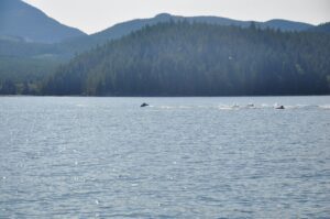 Alpine Gas Ltd photo 3